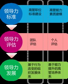 中智管理咨询 专业企业管理咨询服务助力企业发展