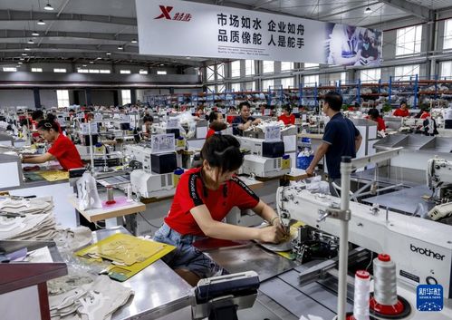 新华全媒 | 从家庭作坊到现代化工厂，从乡镇企业到国际知名企业——探访福建晋江民营企业的管理密码